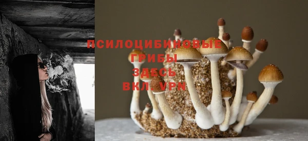 2c-b Михайловск